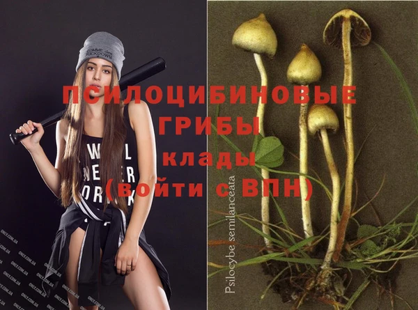 молекула духа Белокуриха