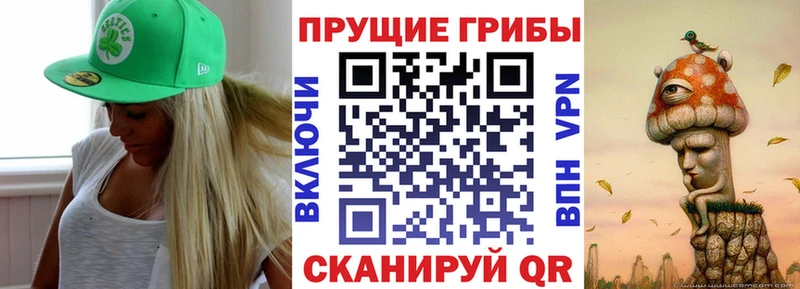 нарко площадка как зайти  Котовск  Псилоцибиновые грибы мицелий  закладка 
