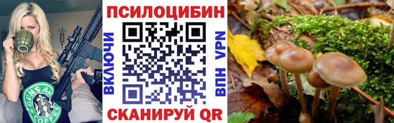 Галлюциногенные грибы GOLDEN TEACHER Котовск